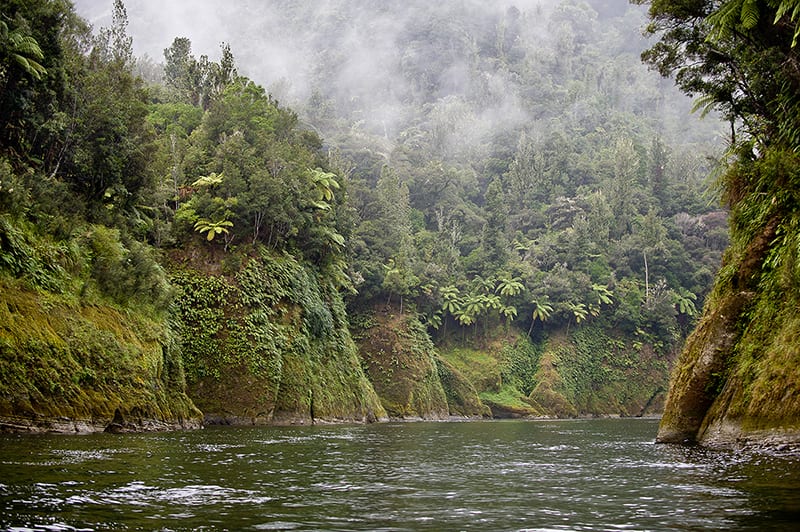 The Whanganui River New Zealand