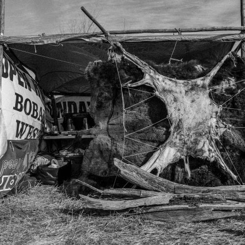 Buffalo and Deer Hide Camp