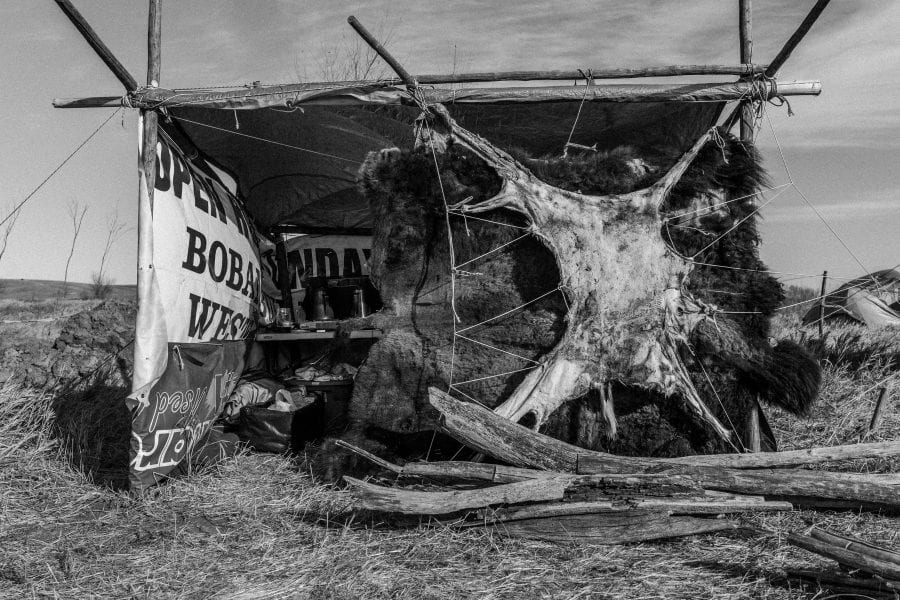 Buffalo and Deer Hide Camp