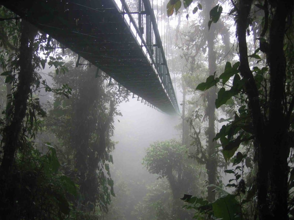 Part 2  – The Cloud Forests of the Sierra Mazateca