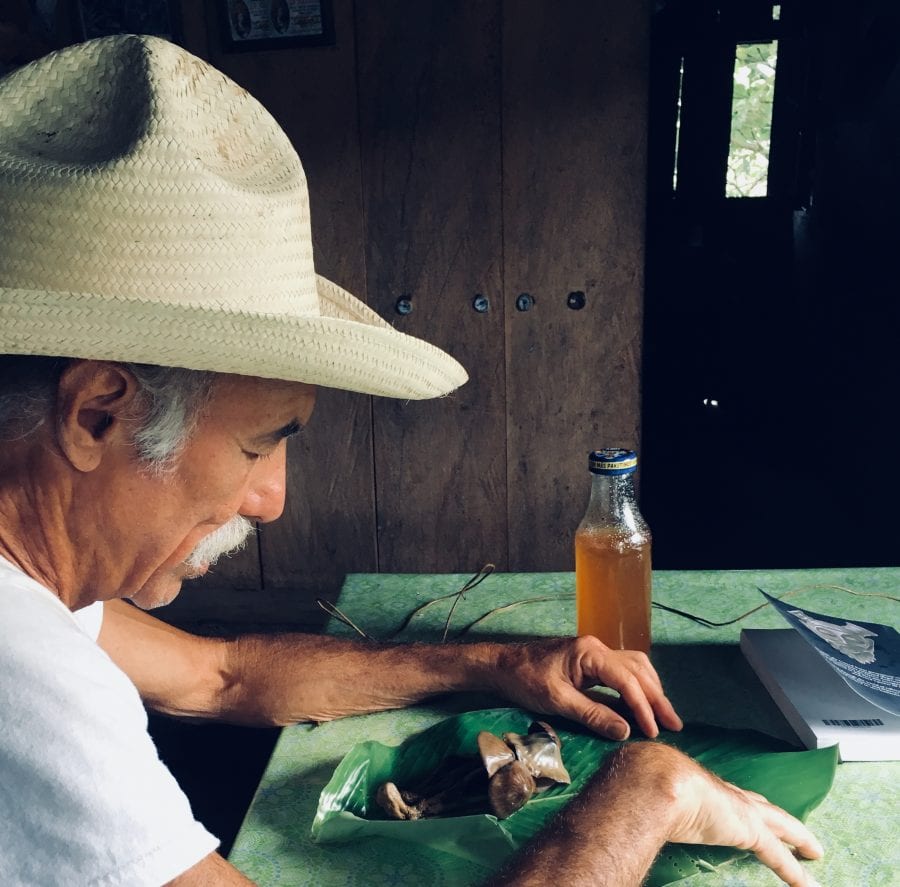 Michael Stuart Ani and his mushrooms