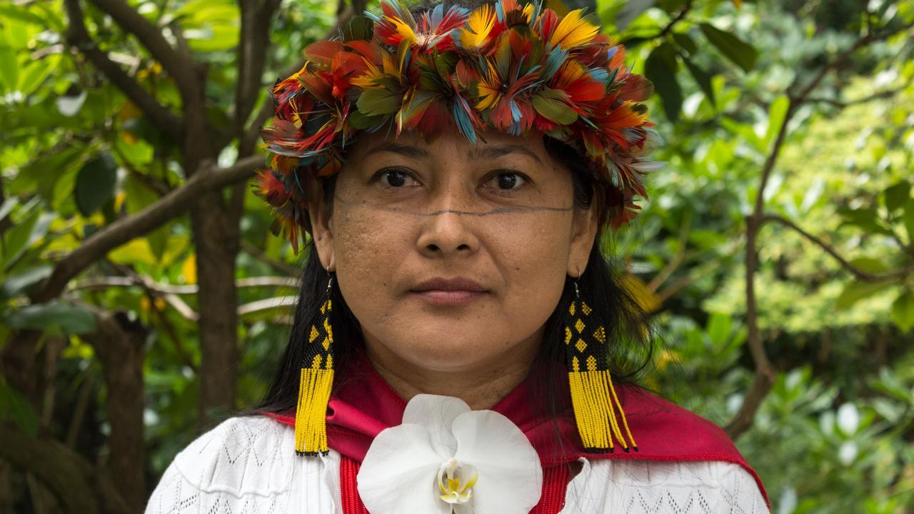 Vandria Borari Indigenous Lawyer, Tapajos